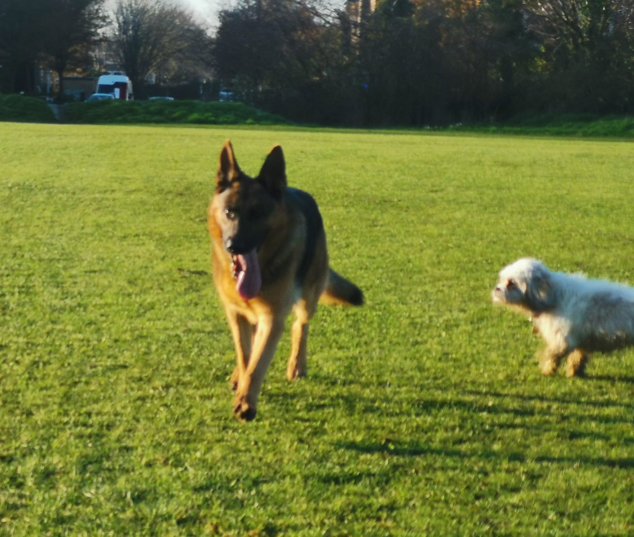 WhatsApp Image 2023-01-26 at 18.10.06 (10)