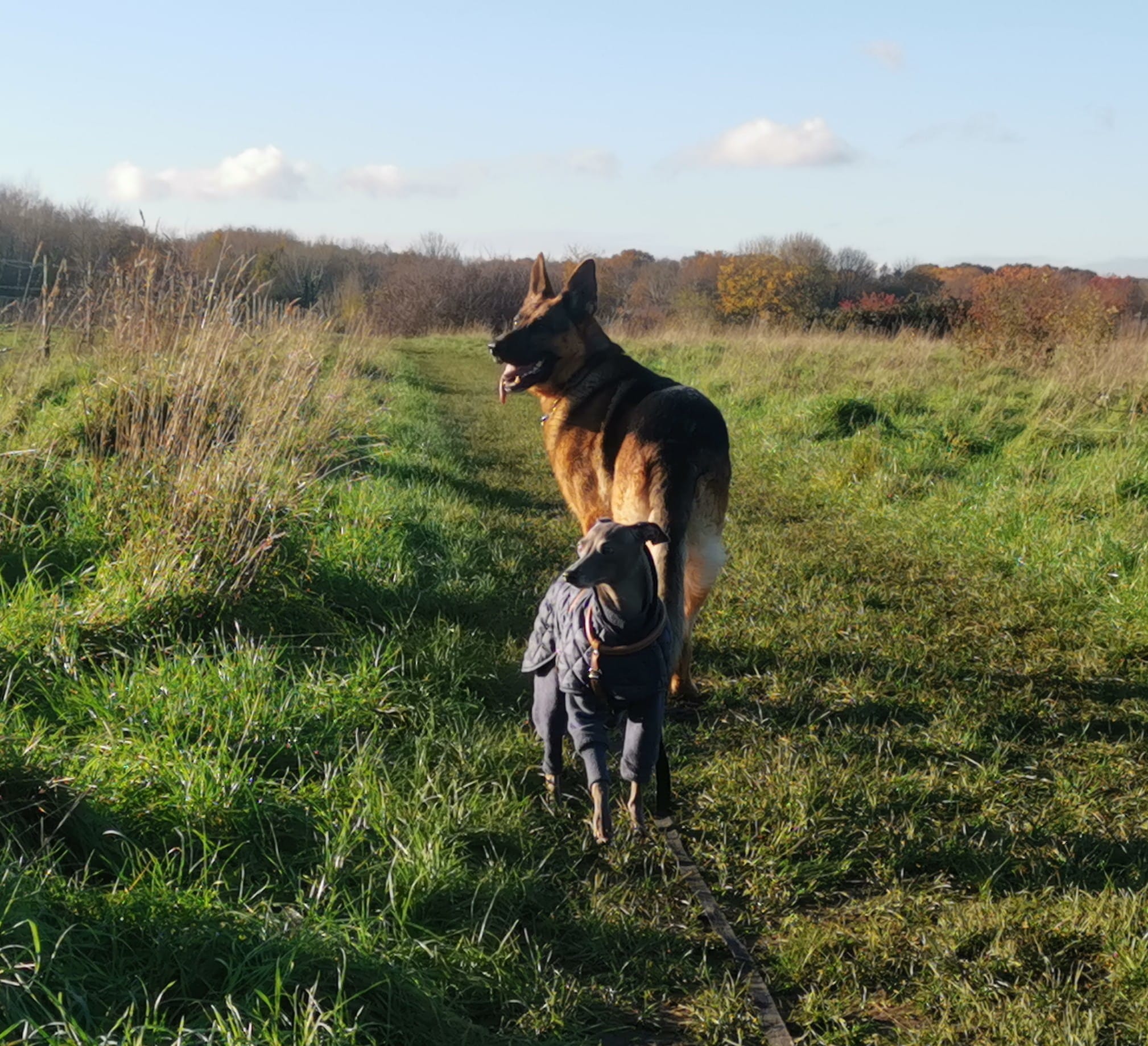 WhatsApp Image 2023-01-26 at 18.10.06 (9)