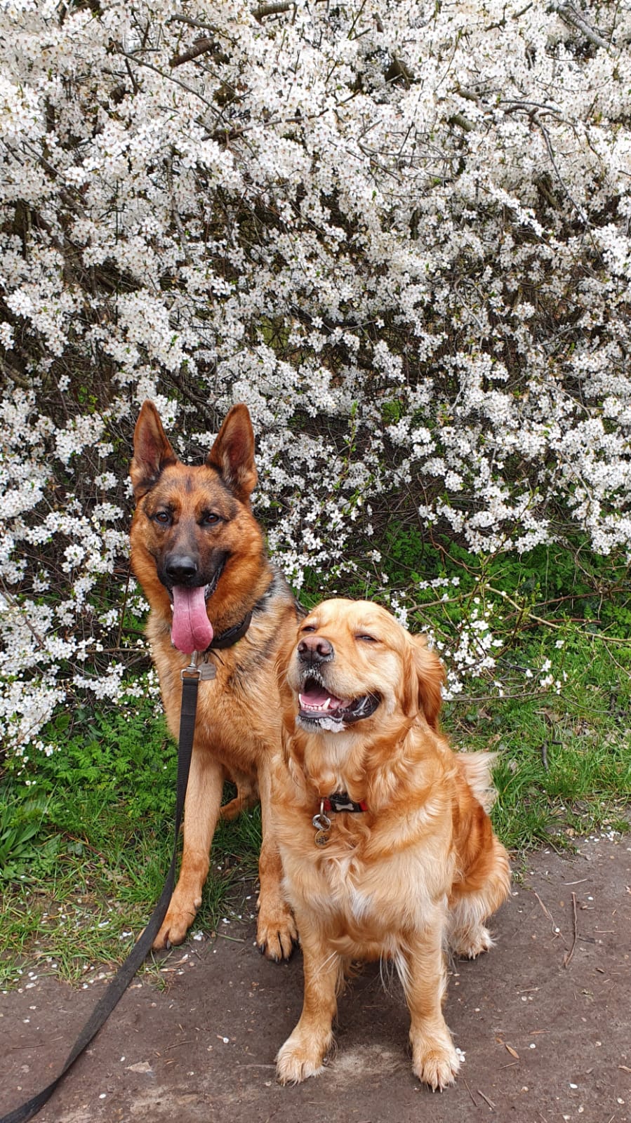 WhatsApp Image 2023-01-26 at 18.10.08 (4)