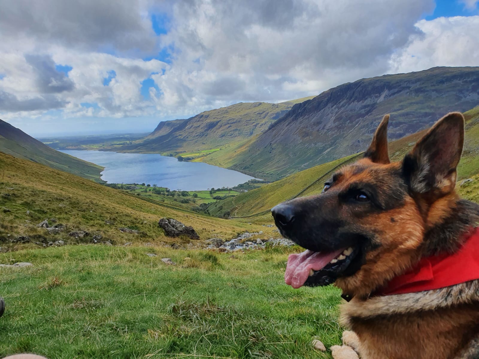 WhatsApp Image 2023-01-26 at 18.12.04 (2)