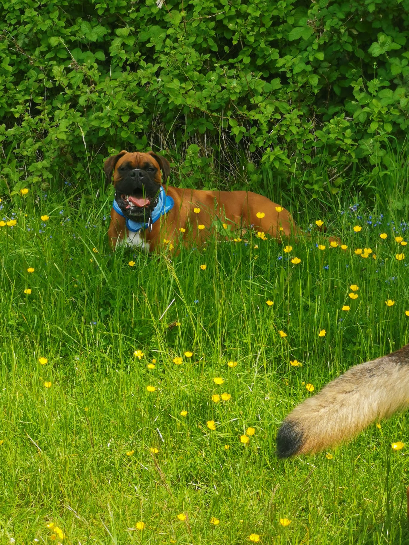 WhatsApp Image 2023-01-26 at 18.12.04 (3)