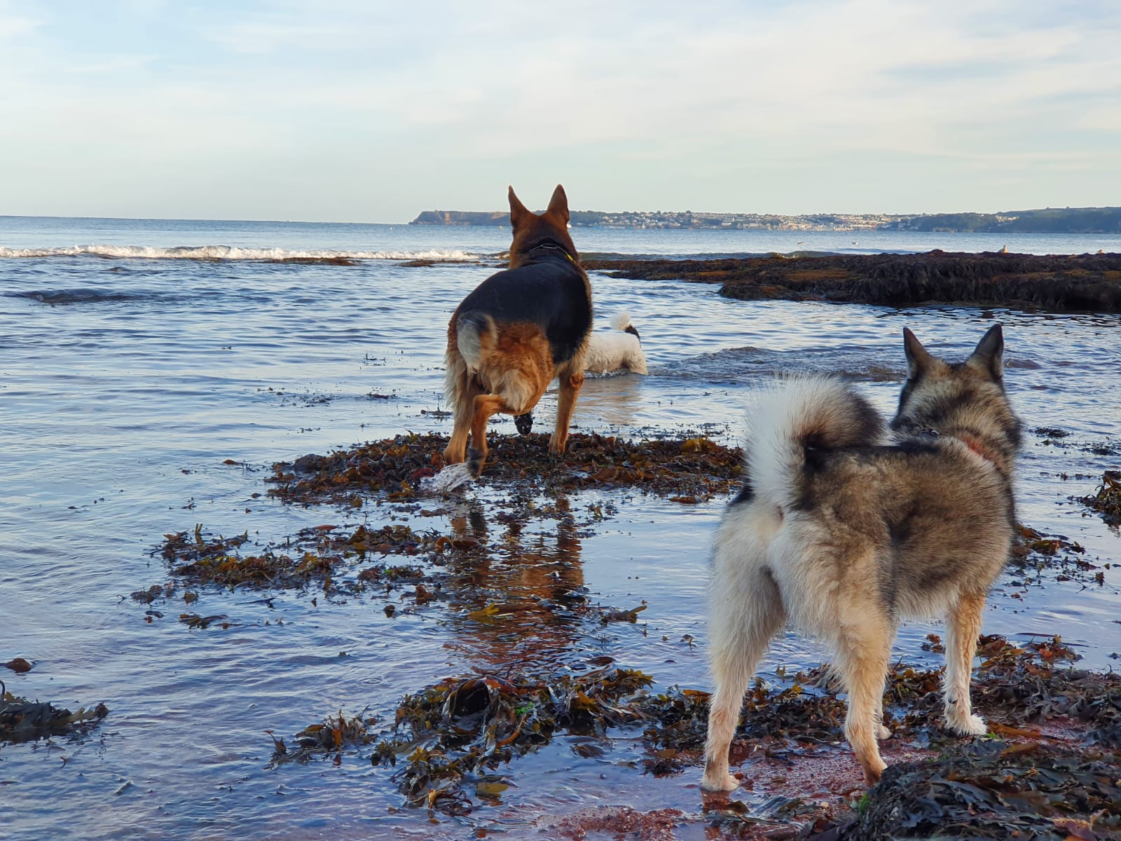 WhatsApp Image 2023-01-26 at 18.12.04 (8)