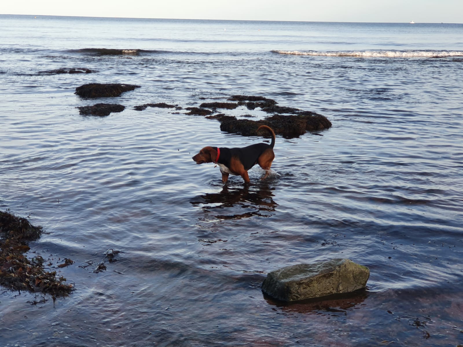 WhatsApp Image 2023-01-26 at 18.12.05 (1)